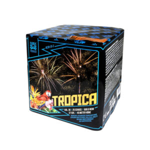 Tropica von Argento – 25-Schuss-Batterie mit bunten Palmen-Buketts und Silbercrackern